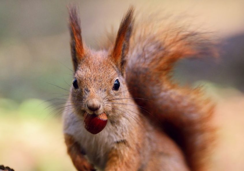 Notgroschen ansparen