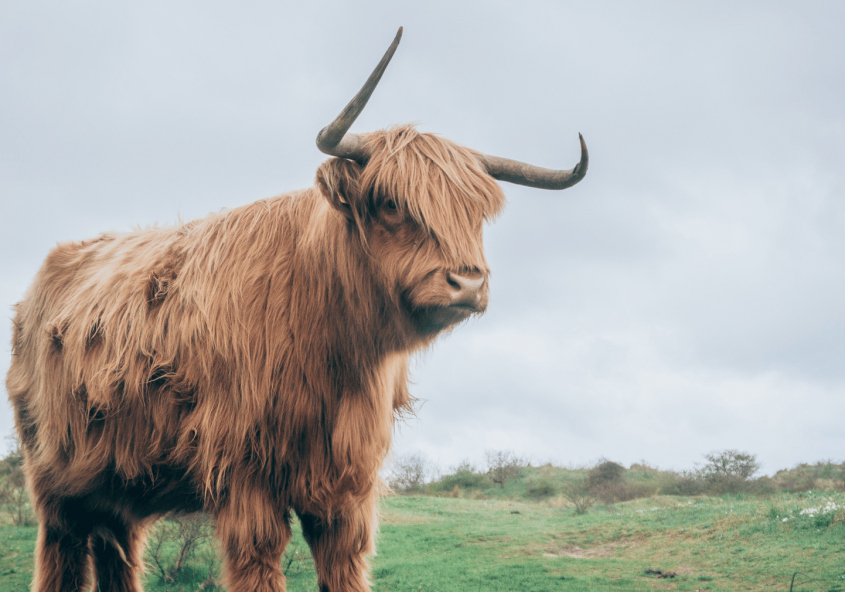Nachhaltige Geldanlage - Schluss mit Bullshit