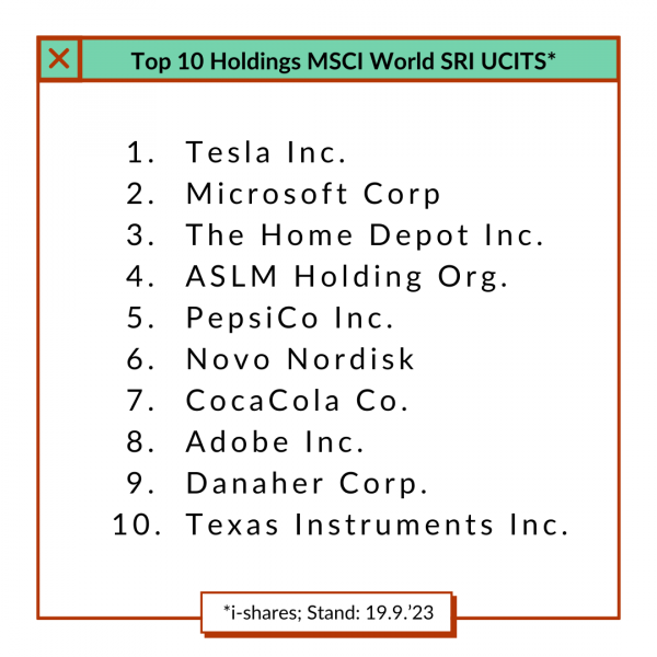 Namen der Top 10 Unternehmen in einem grünen "SRI MSCI World" ETF